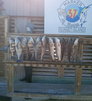 Port Aransas Fishing Haul 